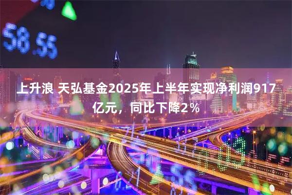 上升浪 天弘基金2025年上半年实现净利润917亿元，同比下降2％